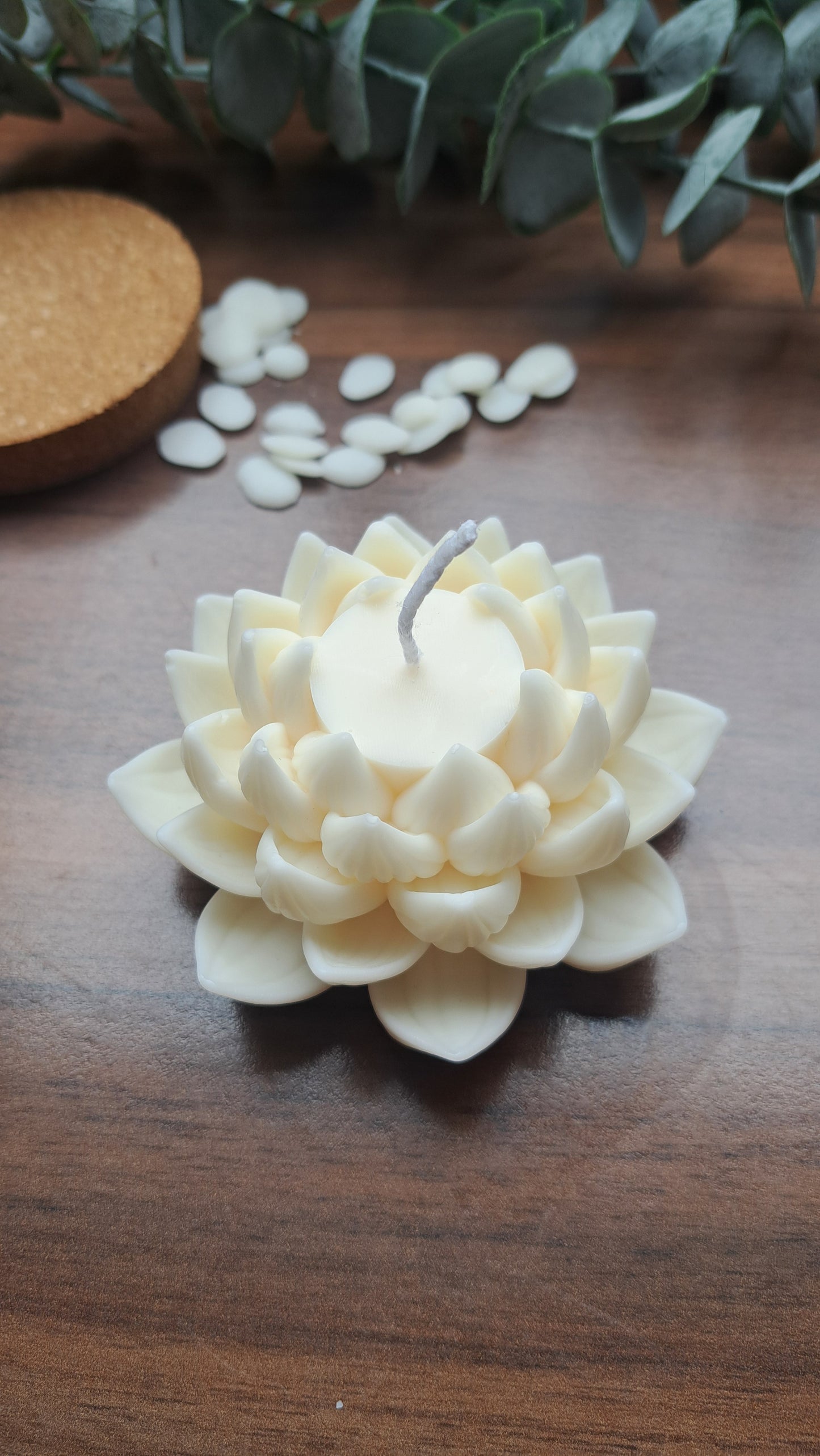 Lotus Kerze geöffnet