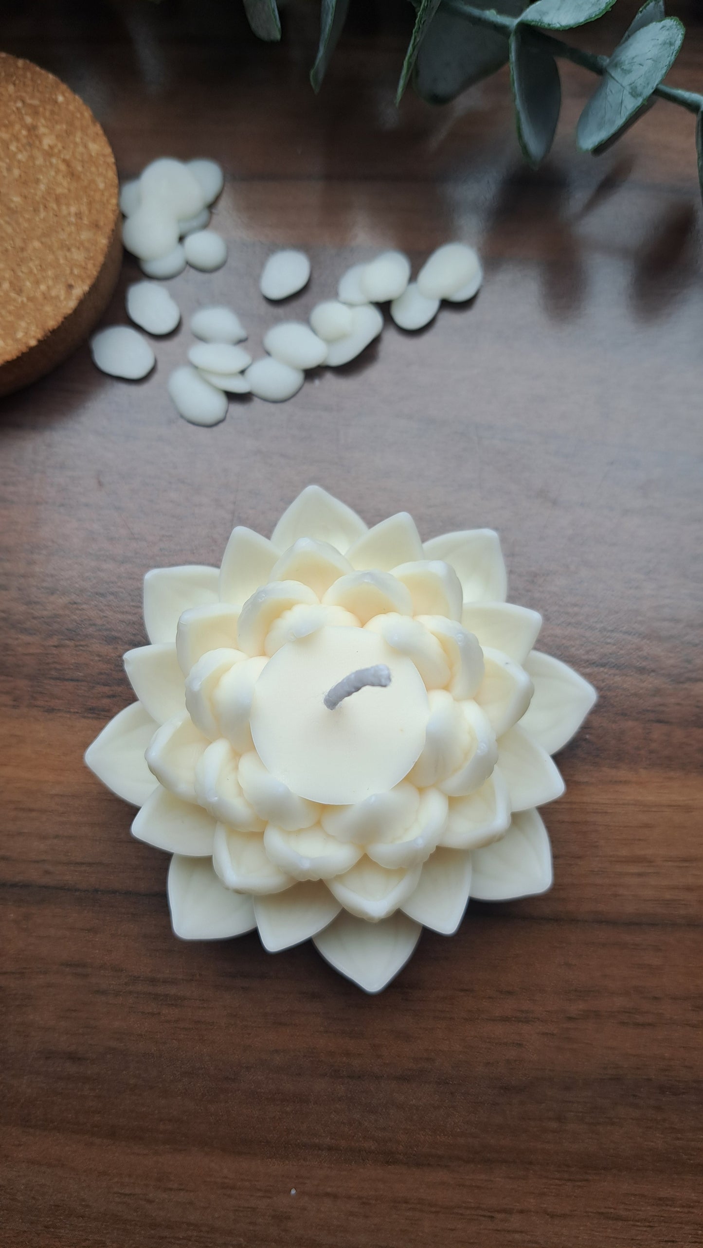Lotus Kerze geöffnet