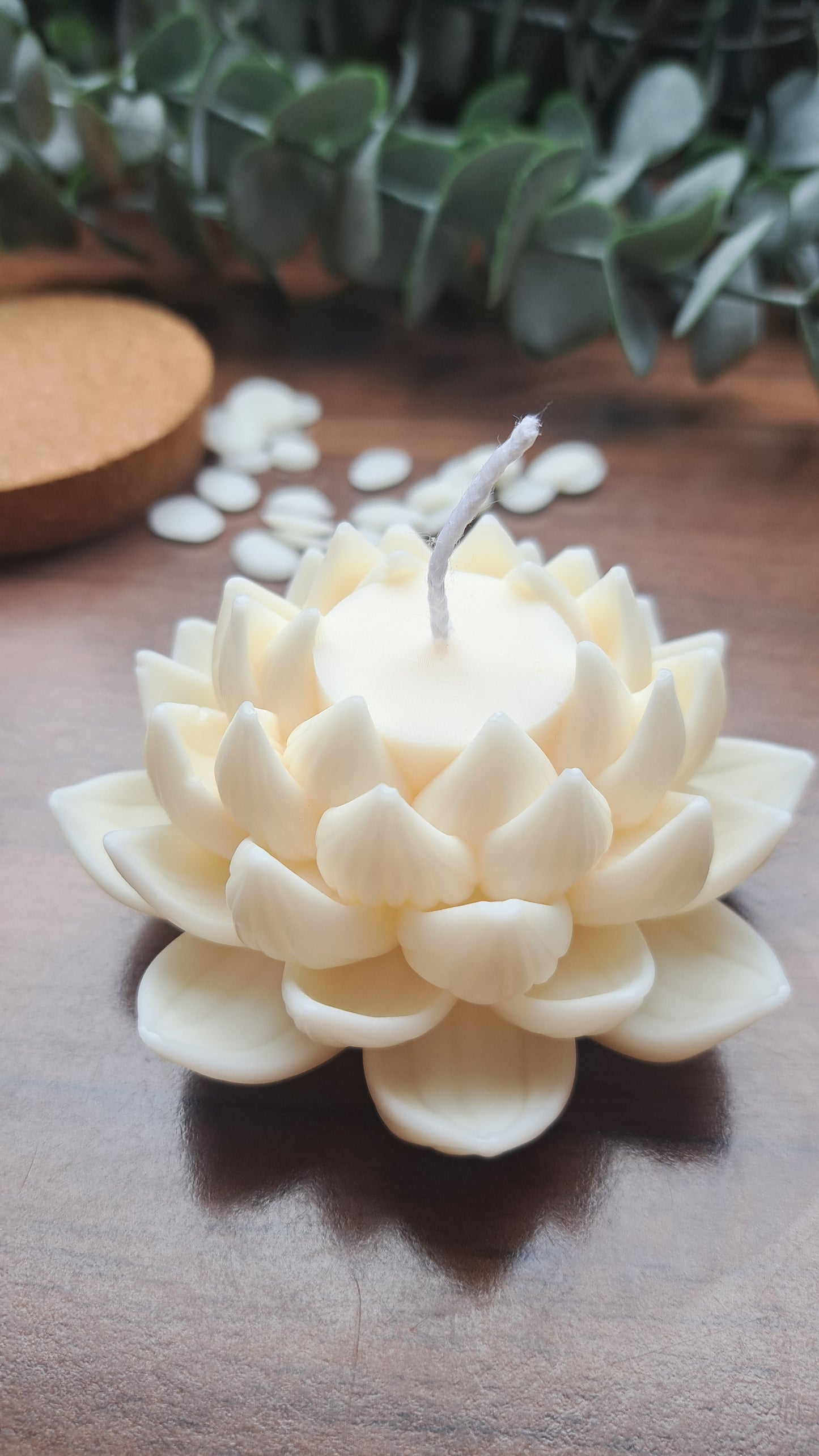 Lotus Kerze geöffnet
