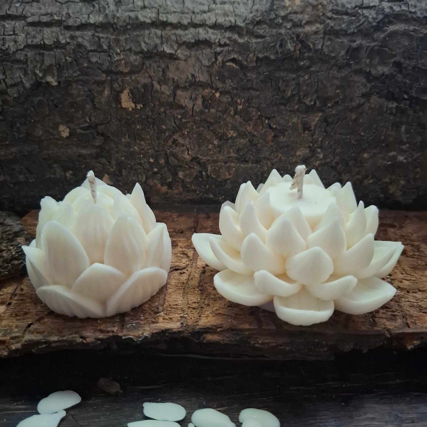 Lotus Kerze geöffnet