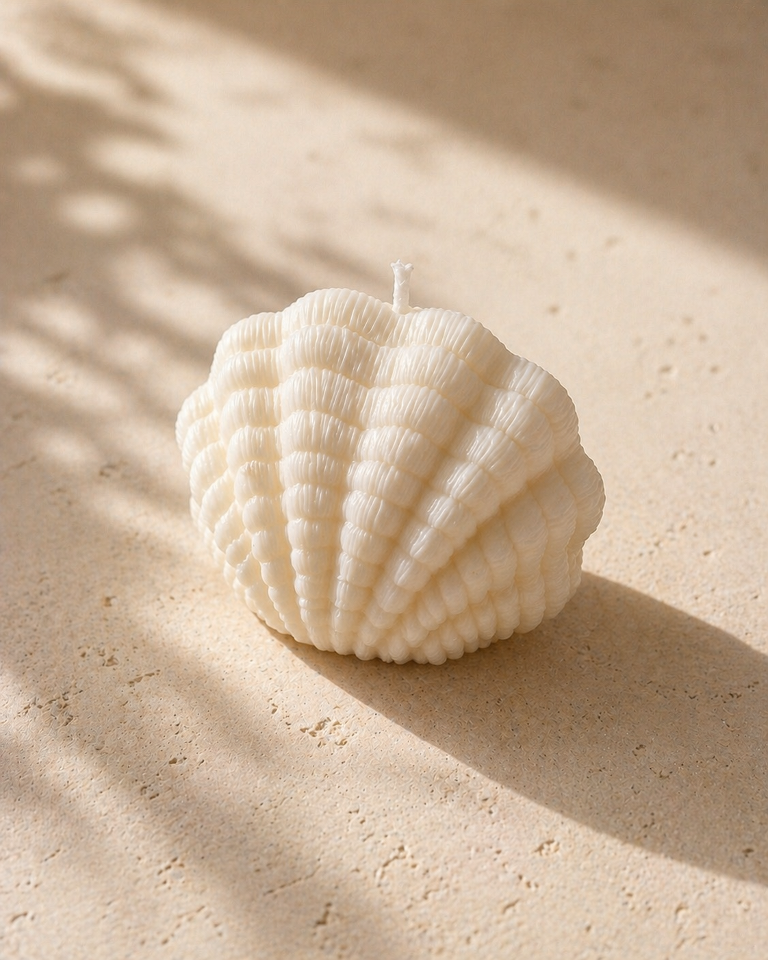  🐚 Muschelkerze – Maritime Eleganz trifft zeitlose Schönheit