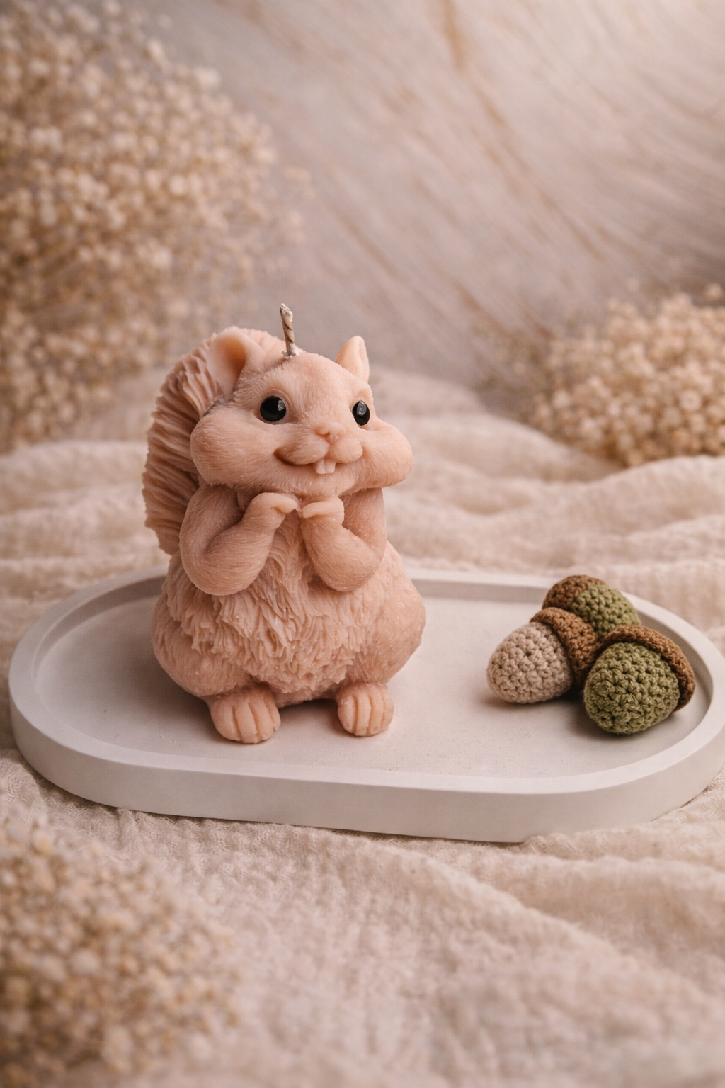 Eichhörnchen