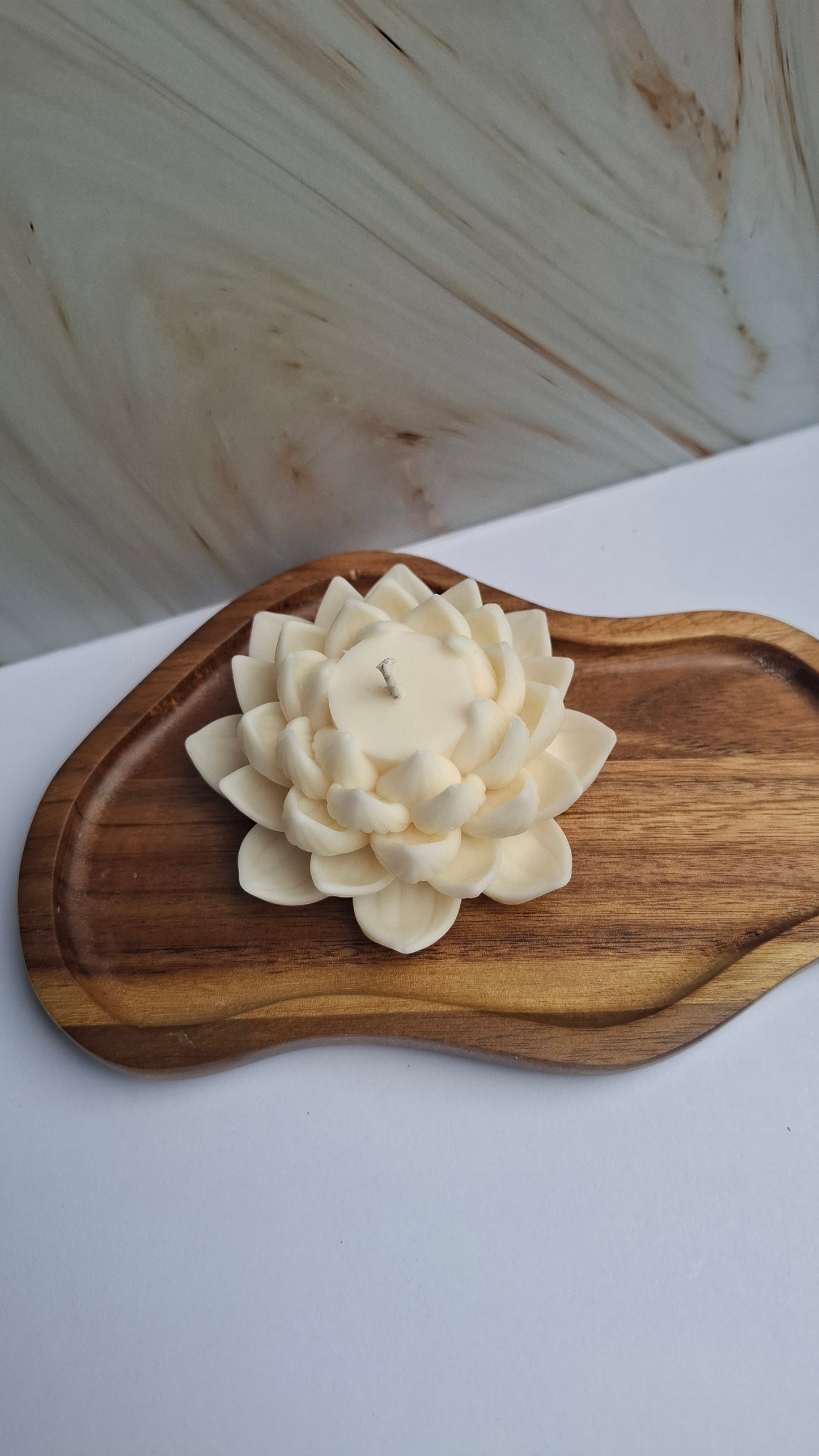 Lotus Kerze geöffnet